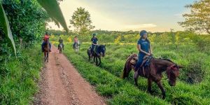 Cavalgada Parque Ecológico Cavalgada Parque Ecológico